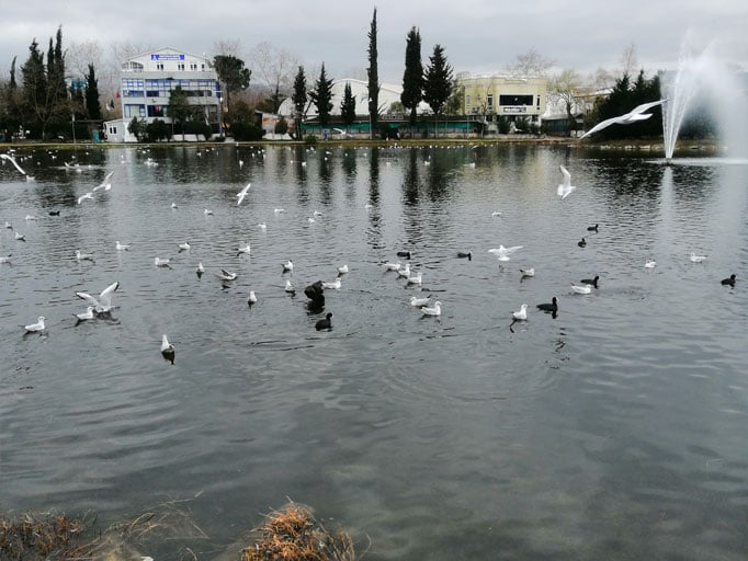 بحيرة ازميت